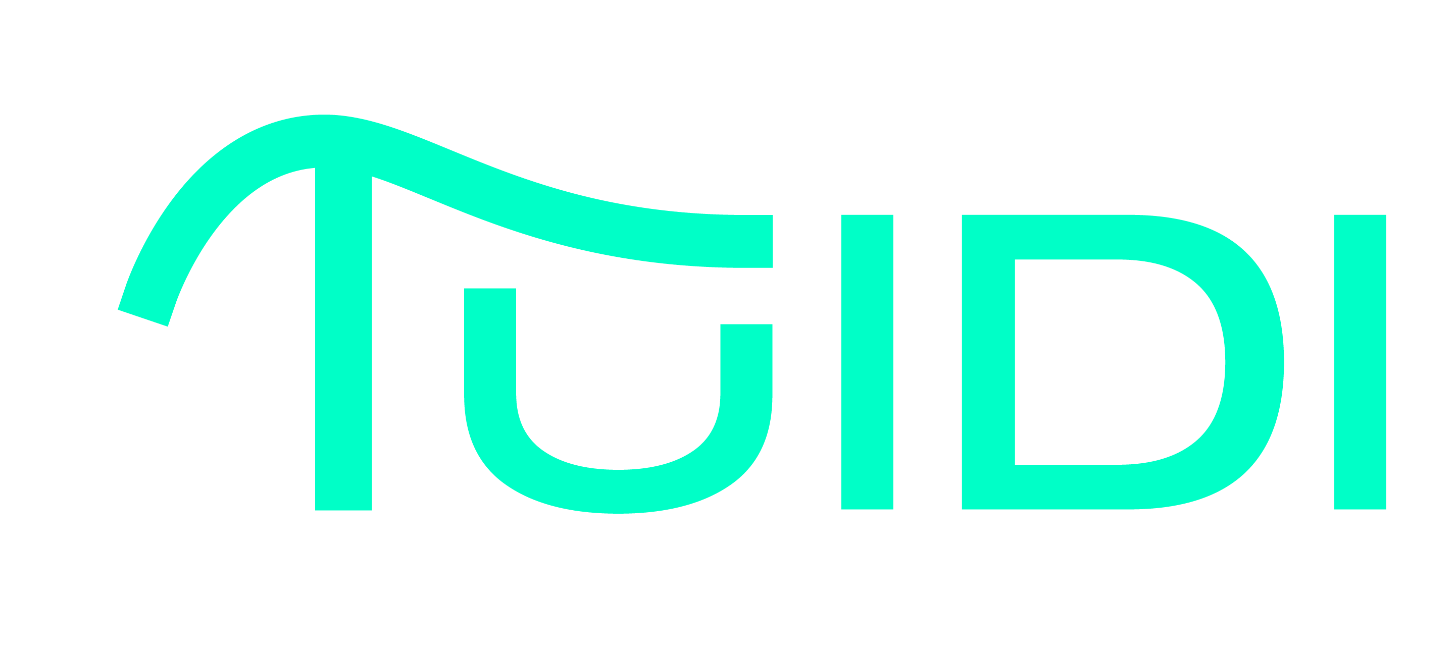Tuidi