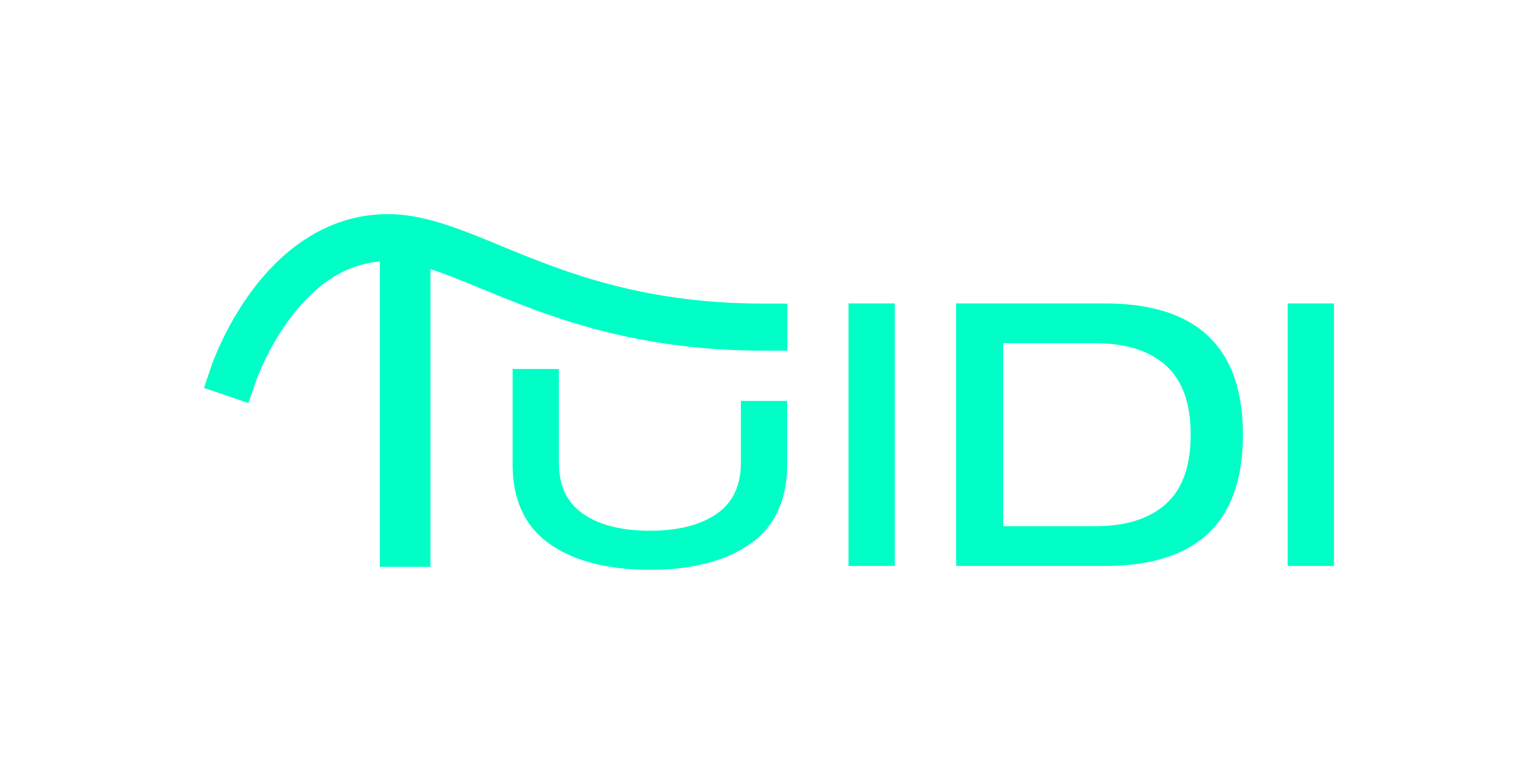 Tuidi